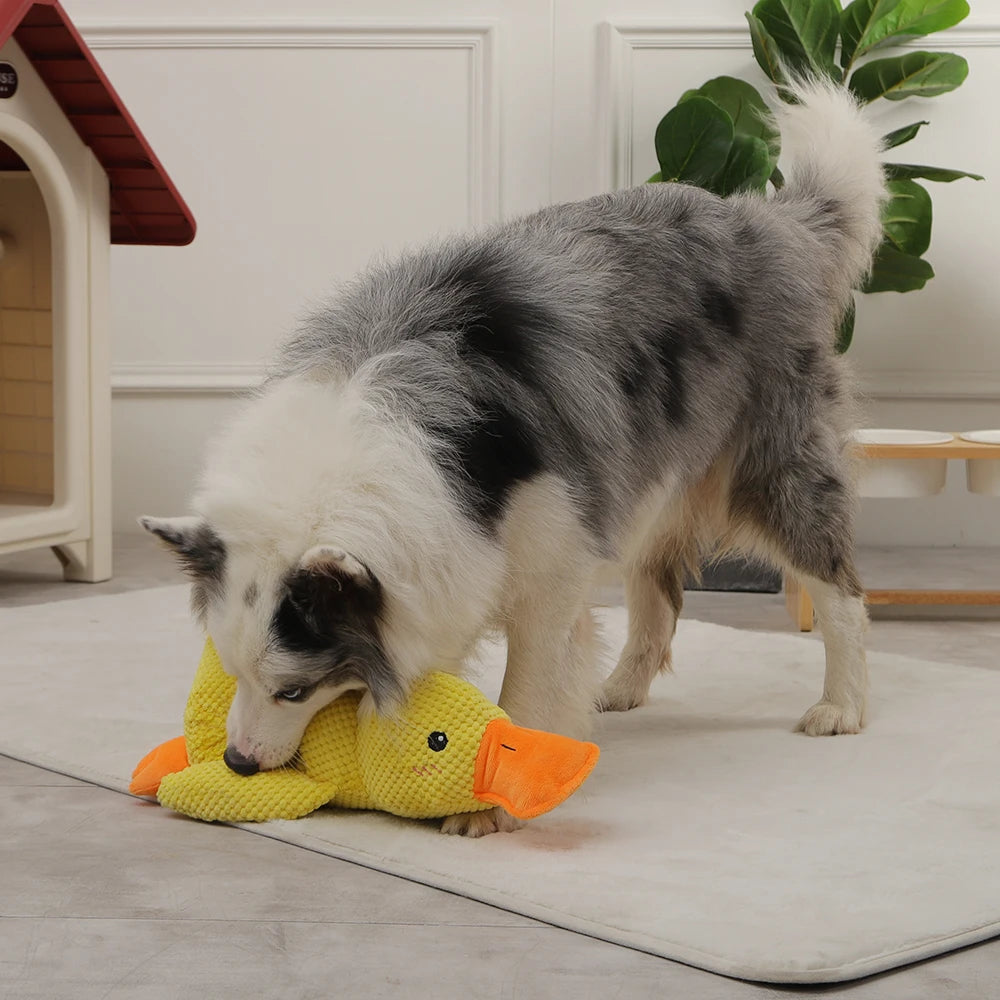 HOOPET Dog Duck Chew Toy - Outdoor Interactive Pet Training