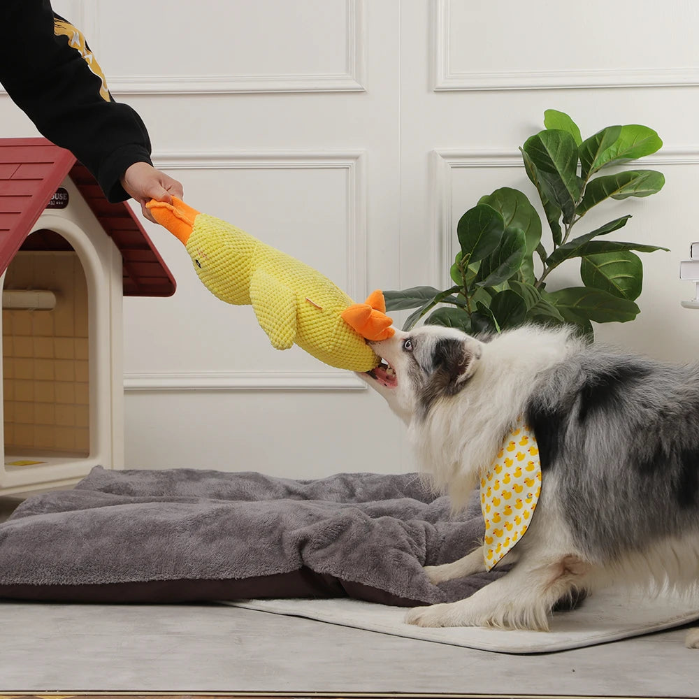 HOOPET Dog Duck Chew Toy - Outdoor Interactive Pet Training