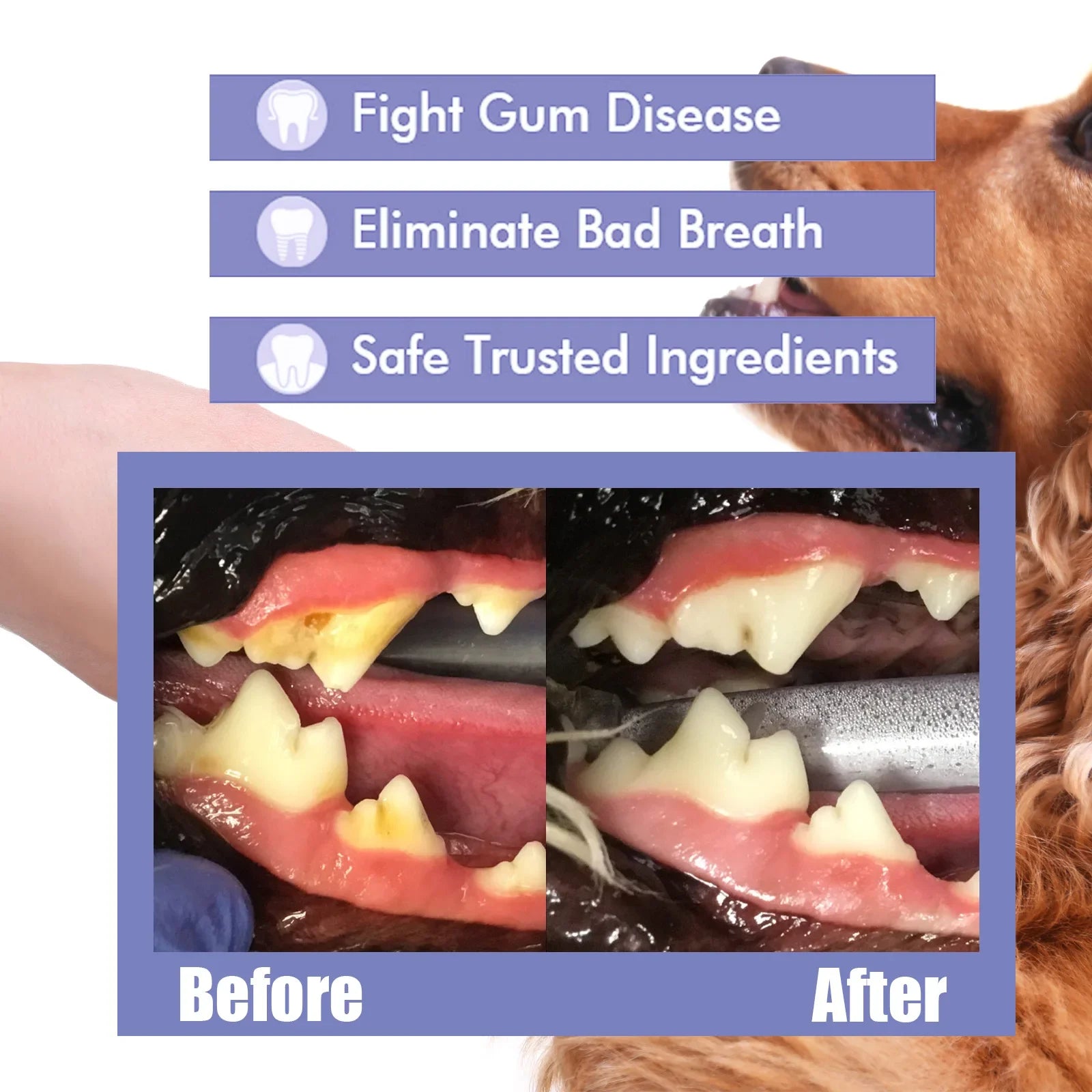 Dog Cat Teeth Cleaning Spray