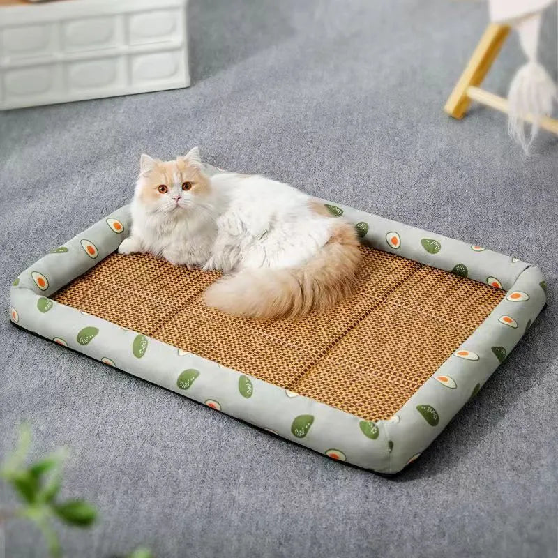 Cat Bed