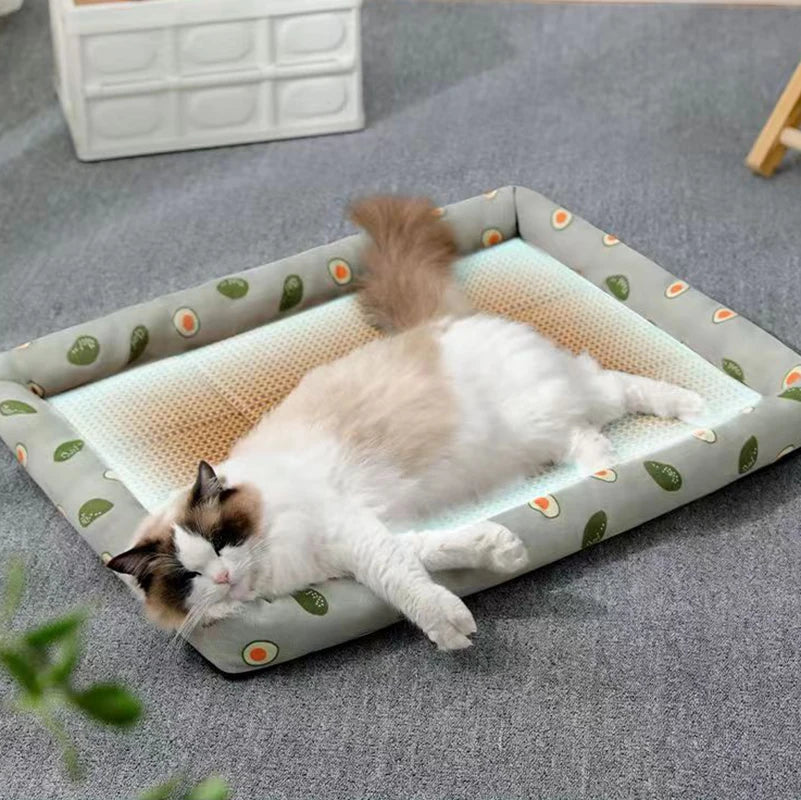 Cat Bed