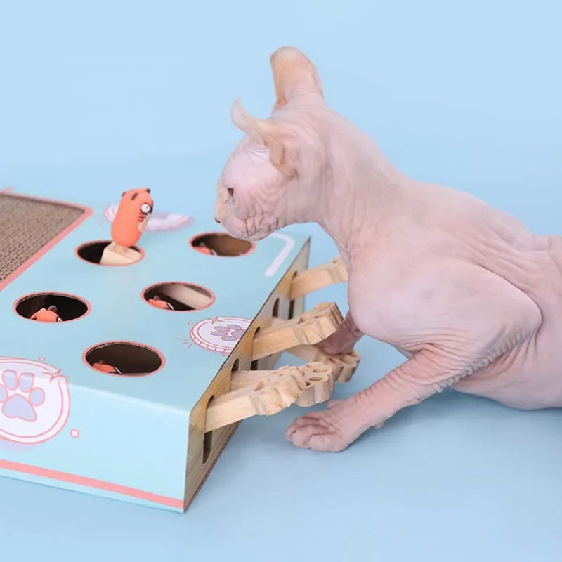 Interactive Cat Toy Set