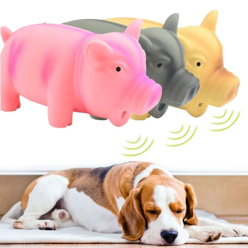 Cute Rubber Pig Squeak Toy for Dogs