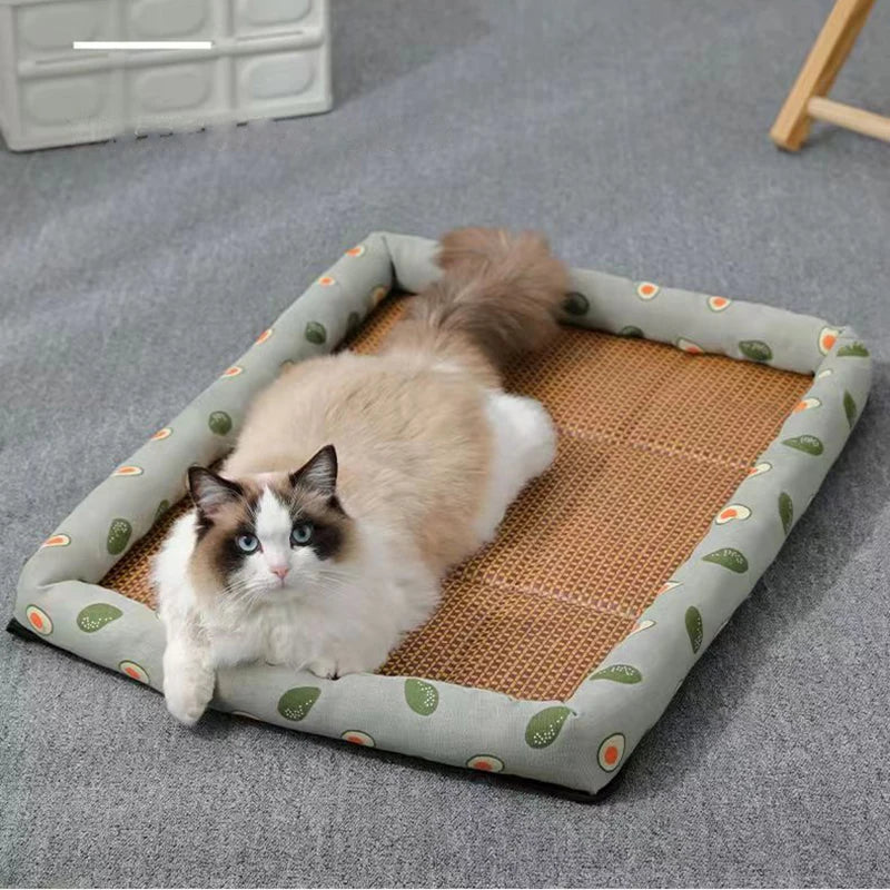 Cat Bed