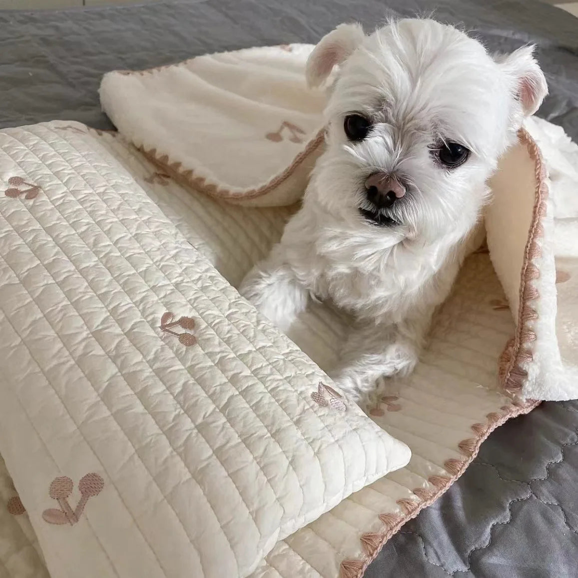 3-Piece Dog Bed Set with Pillow