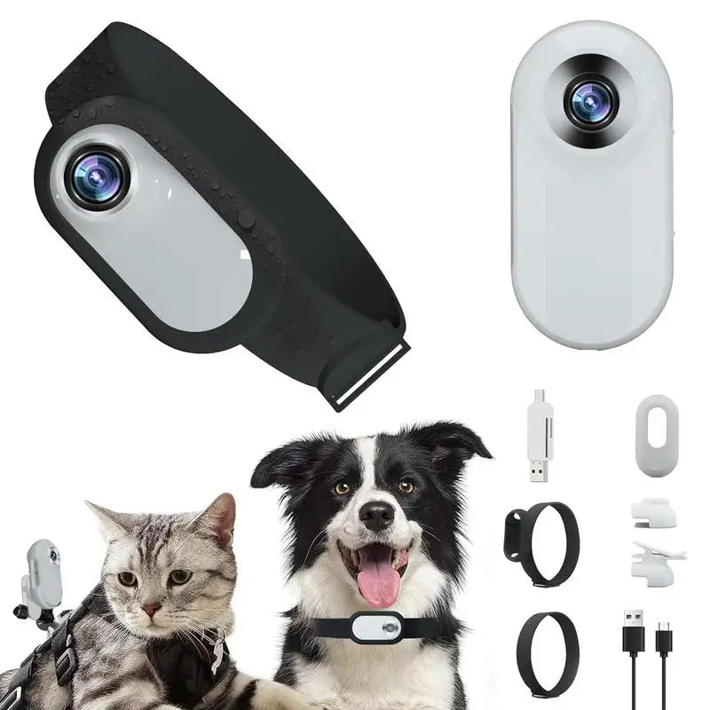 Pet Collar Camera No Wifi Required HD Mini Sports Camera Cat Camera Choker Dog Tracker Collar With Video Records Pet Accessories