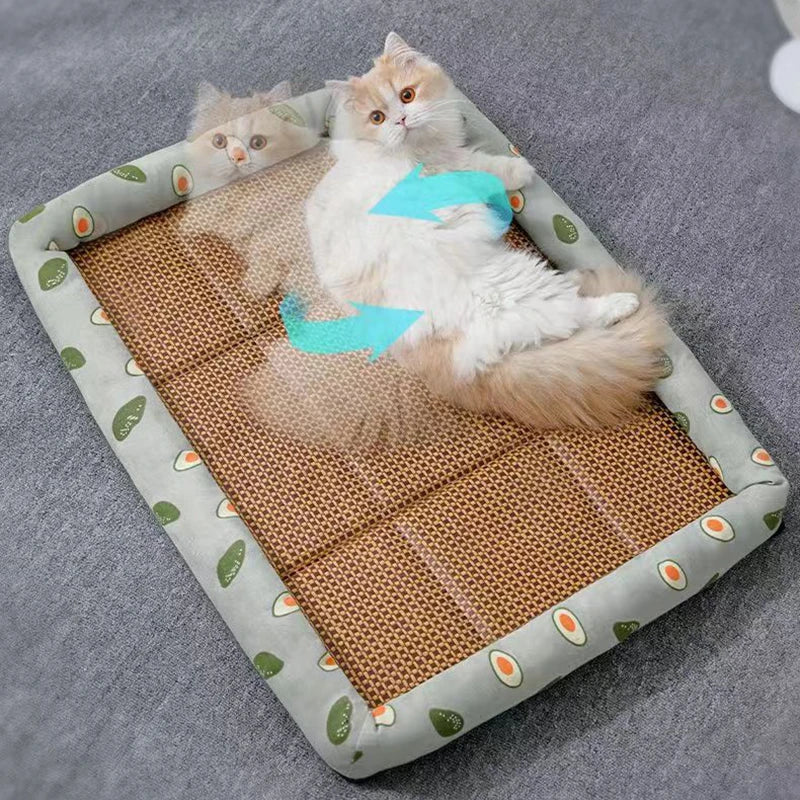 Cat Bed