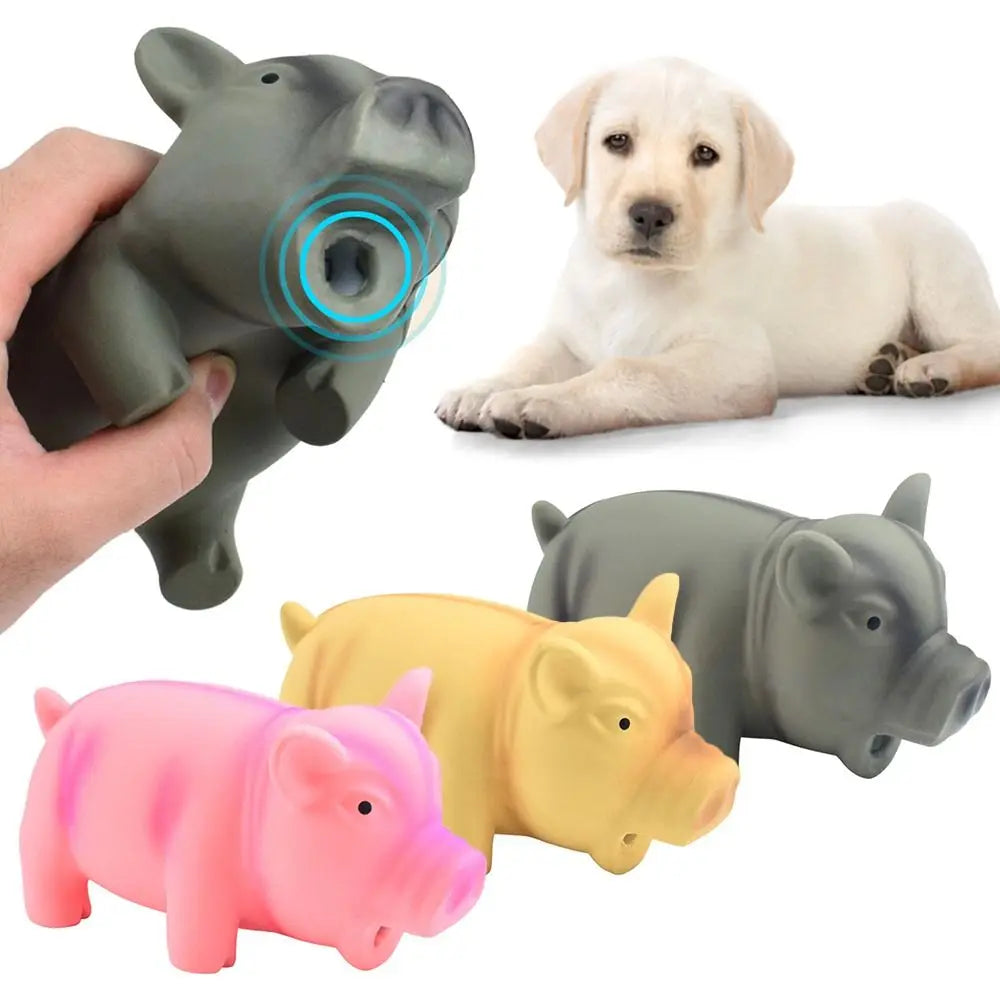 Cute Rubber Pig Squeak Toy for Dogs